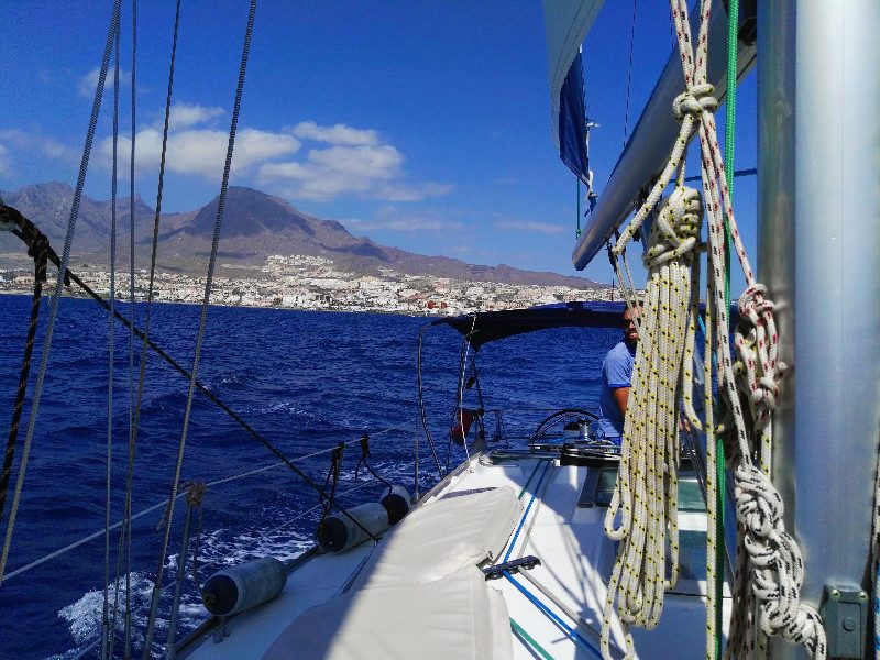 Excursión en barco | Avistamiento de cetáceos | Puerto Colón | Tenerife Sur