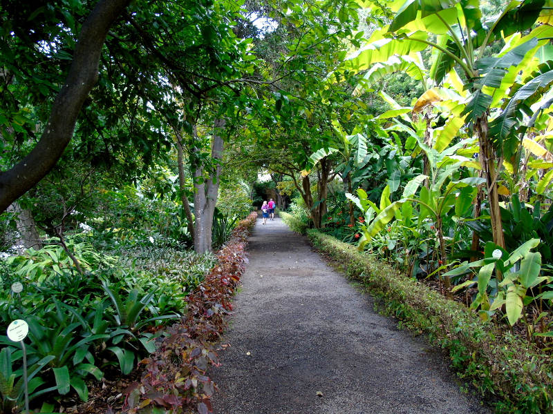 El Jardín Botánico | Puerto de la Cruz | Tenerife