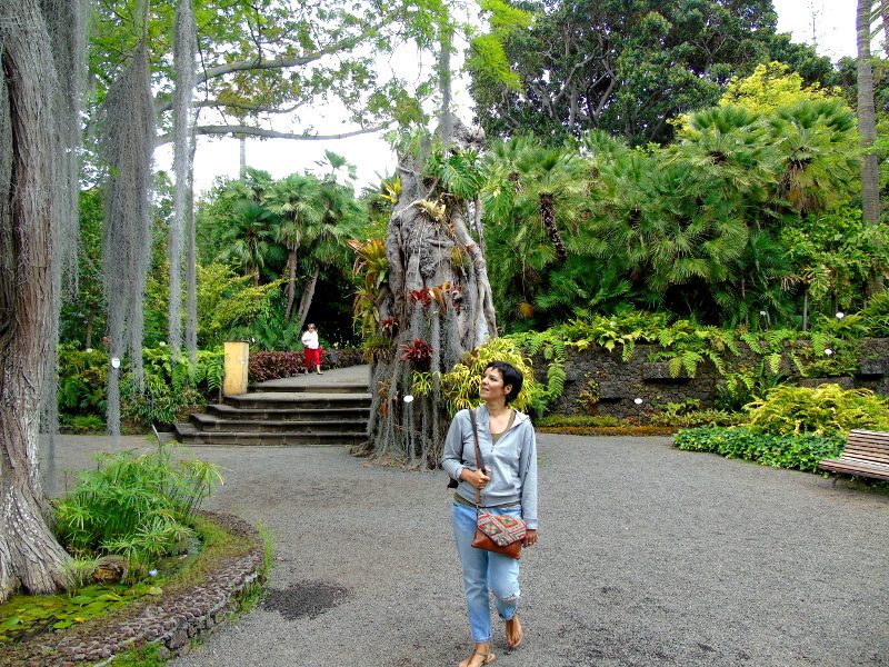 Escupir arrastrar sin embargo Un paseo por el Jardín Botánico de Puerto de la Cruz | Planeta Tenerife
