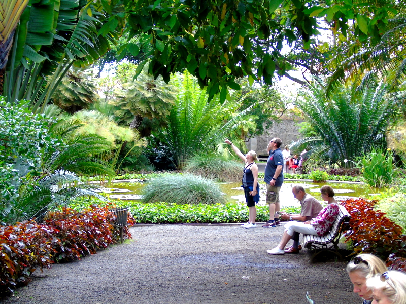 Jardín Botánico | Puerto de la Cruz | Tenerife | Estanque principal