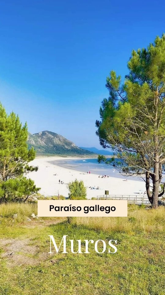 Feliz Día de Galicia desde la paradisíaca playa de Área Maior de Muros. Un espectáculo natural ¡Así es Galicia!. 💚💙

.............................................
#galiciabonita #galicia #muros #acoruña #galiciameiga #galiciamaxica
#galiciamola #galiciadescuberta #galicia_en_fotos #galicia_enamora #ok_galicia #loves_galicia #galiciacalidade #galiciaglobal #galicia_visual #total_galicia #asi_es_playas #playasdegalicia #paraisogallego #playas #esta_es_españa #españagrafias #paisajesnaturales #total_nature