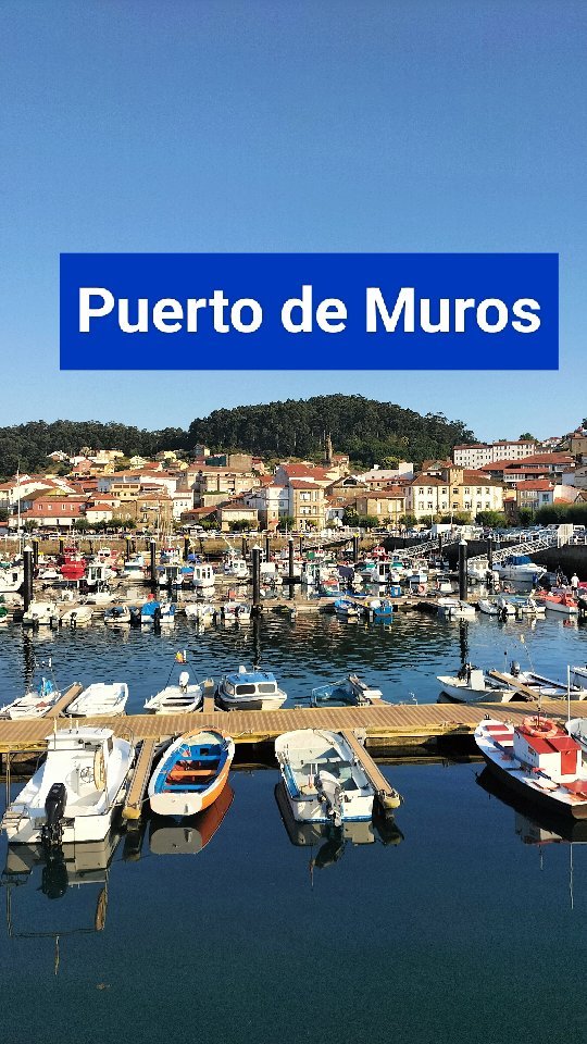 El puerto de Muros es probablemente uno de los más bonitos de Galicia. Alberga un gran número de barcos pesqueros y deportivos. Tiene lonja donde se subasta pescado e incluso hay algunos puestos en el mismo puerto de venta directa de las capturas diarias 🐟. Encantador para recorrerlo al atardecer 🙌.

...............................................................

#muros #acoruña #galicia #galiciameiga #puertodemuros #galiciabonita #galiciamaxica #galiciamola #galiciadescuberta #galicia_visual #galicia_enamora #galiciacalidade #visit_galicia #ok_galicia #total_galicia #loves_galicia #asi_es_espana #asi_es_galicia #puertos #puertosgallegos #españagrafias #spain #viajaragalicia #planetatenerife_galicia